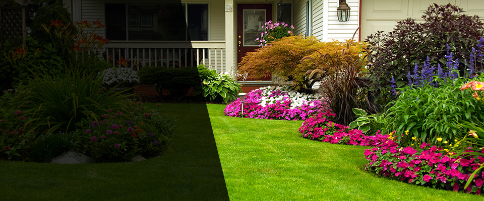 Hidalgo Landscapers