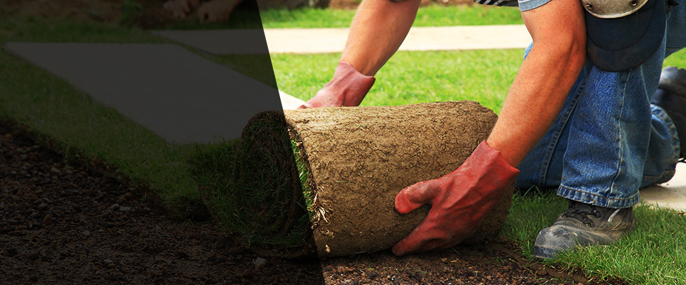 Hidalgo Landscapers